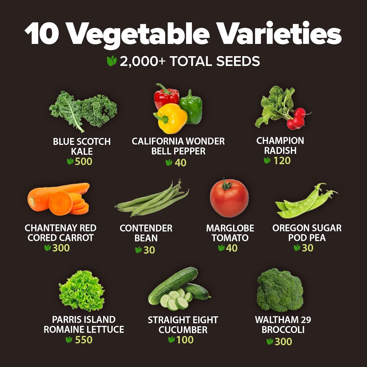 10 Variety Vegetable – 2,000+ 𝗡𝗢𝗡-𝗚𝗠𝗢 𝗨𝗦𝗔 Seeds(Kale, Lettuce, Tomato, Broccoli, Beans, Peas, Bell Peppers, Carrot, Cucumber, Radish) – Indoor & Outdoor Garden Survival Seeds