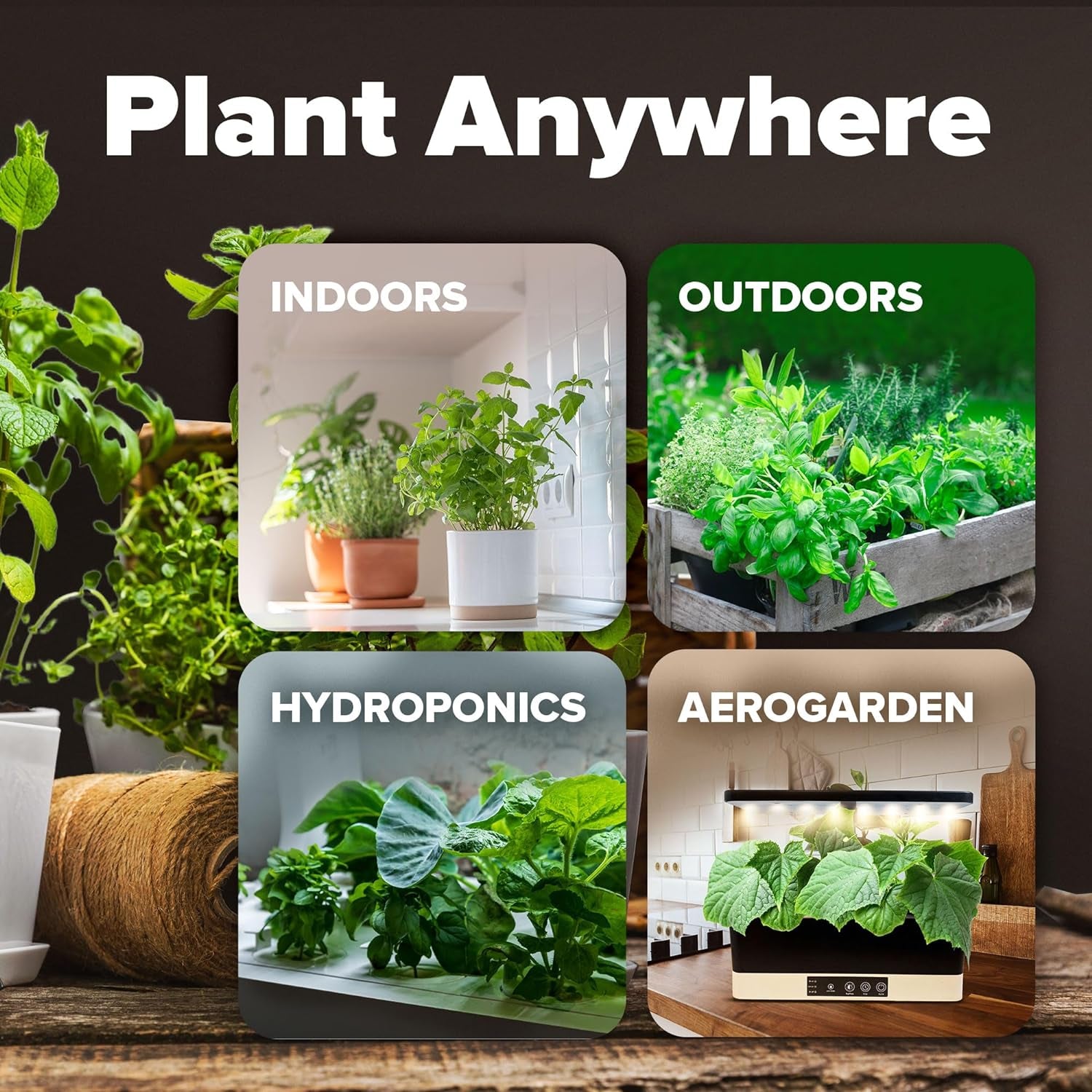 10 Variety Vegetable – 2,000+ 𝗡𝗢𝗡-𝗚𝗠𝗢 𝗨𝗦𝗔 Seeds(Kale, Lettuce, Tomato, Broccoli, Beans, Peas, Bell Peppers, Carrot, Cucumber, Radish) – Indoor & Outdoor Garden Survival Seeds
